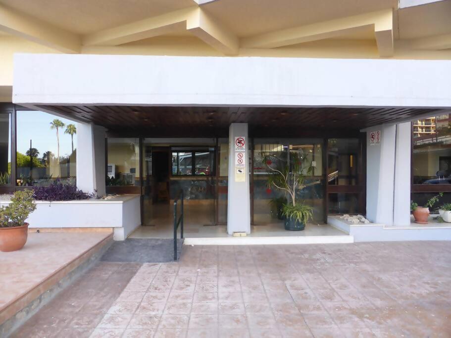 Estudio Nefeli Primera Linea Playa Amazing Views 贝纳尔马德纳 外观 照片