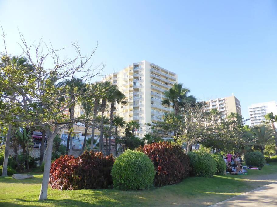 Estudio Nefeli Primera Linea Playa Amazing Views 贝纳尔马德纳 外观 照片