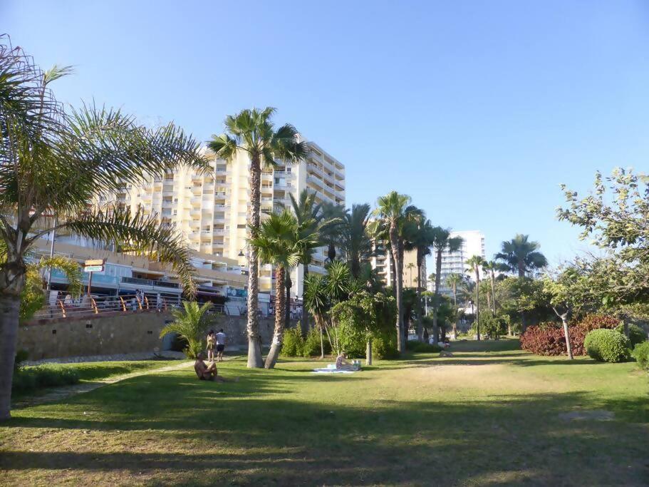 Estudio Nefeli Primera Linea Playa Amazing Views 贝纳尔马德纳 外观 照片