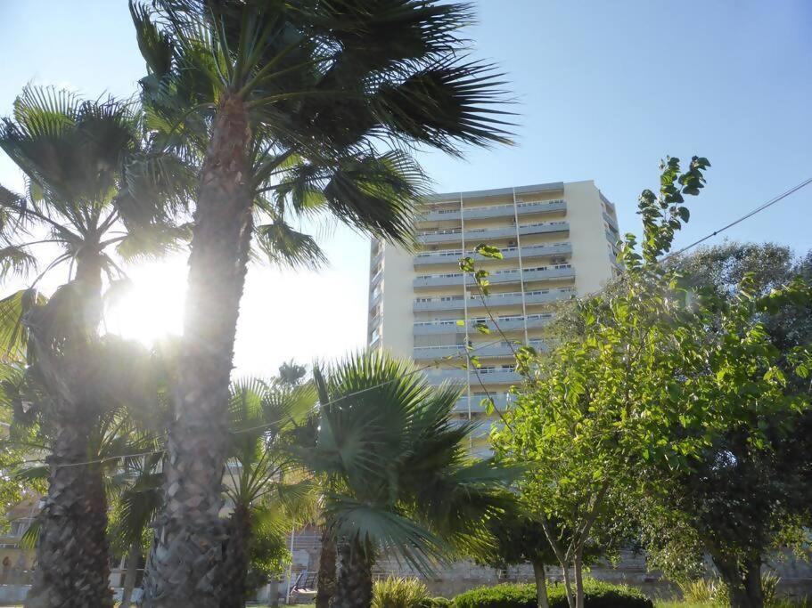 Estudio Nefeli Primera Linea Playa Amazing Views 贝纳尔马德纳 外观 照片